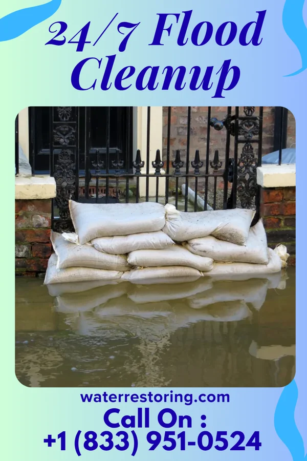 24/7 Flood Cleanup in Dahlgren, IL